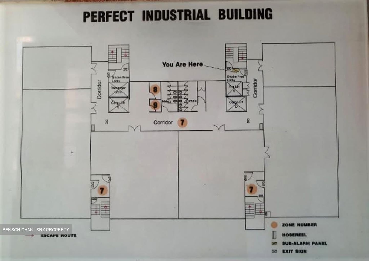 Perfect One (D13), Warehouse #547241691
